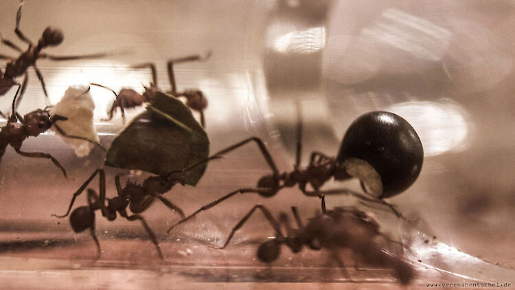 Bildname: hard_work_1