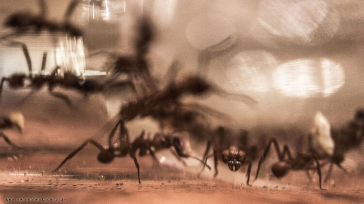 Bildname: hard_work_2