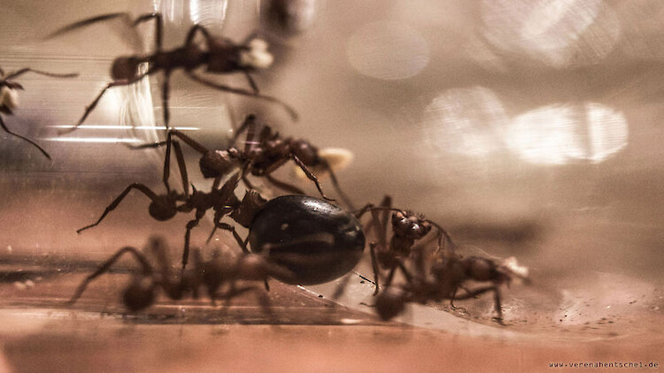 Bildname: hard_work_3