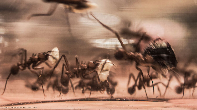 Bildname: hard_work_4