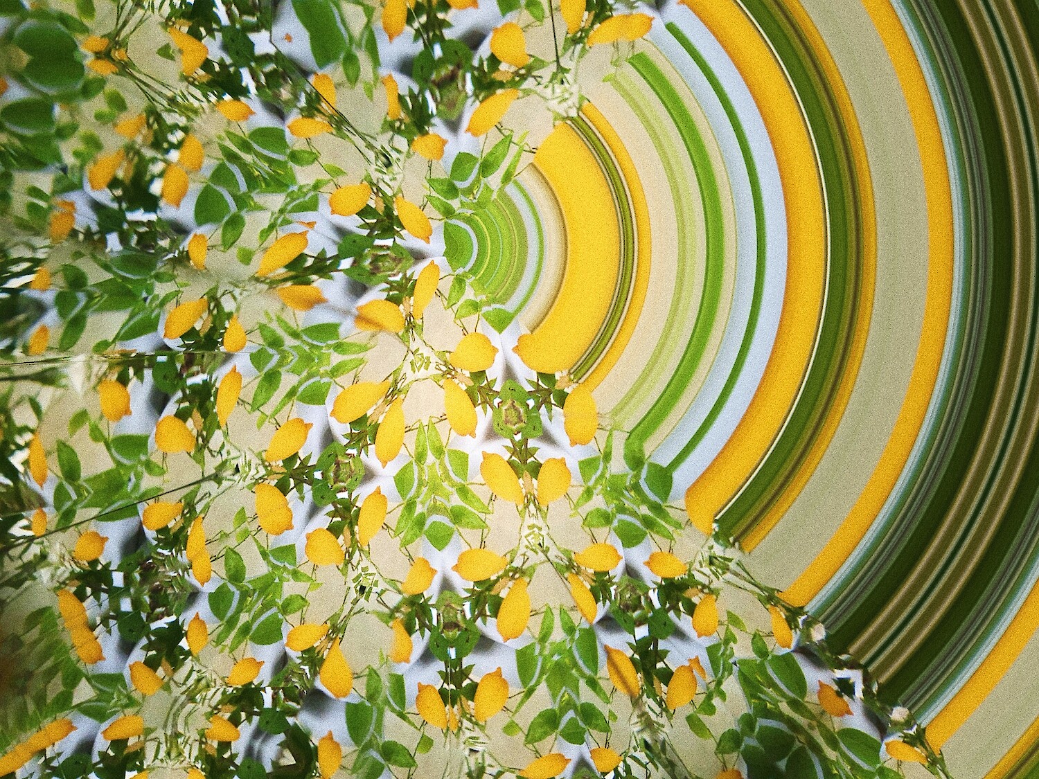 Bildname: 2020-05-14_05_01_07_1