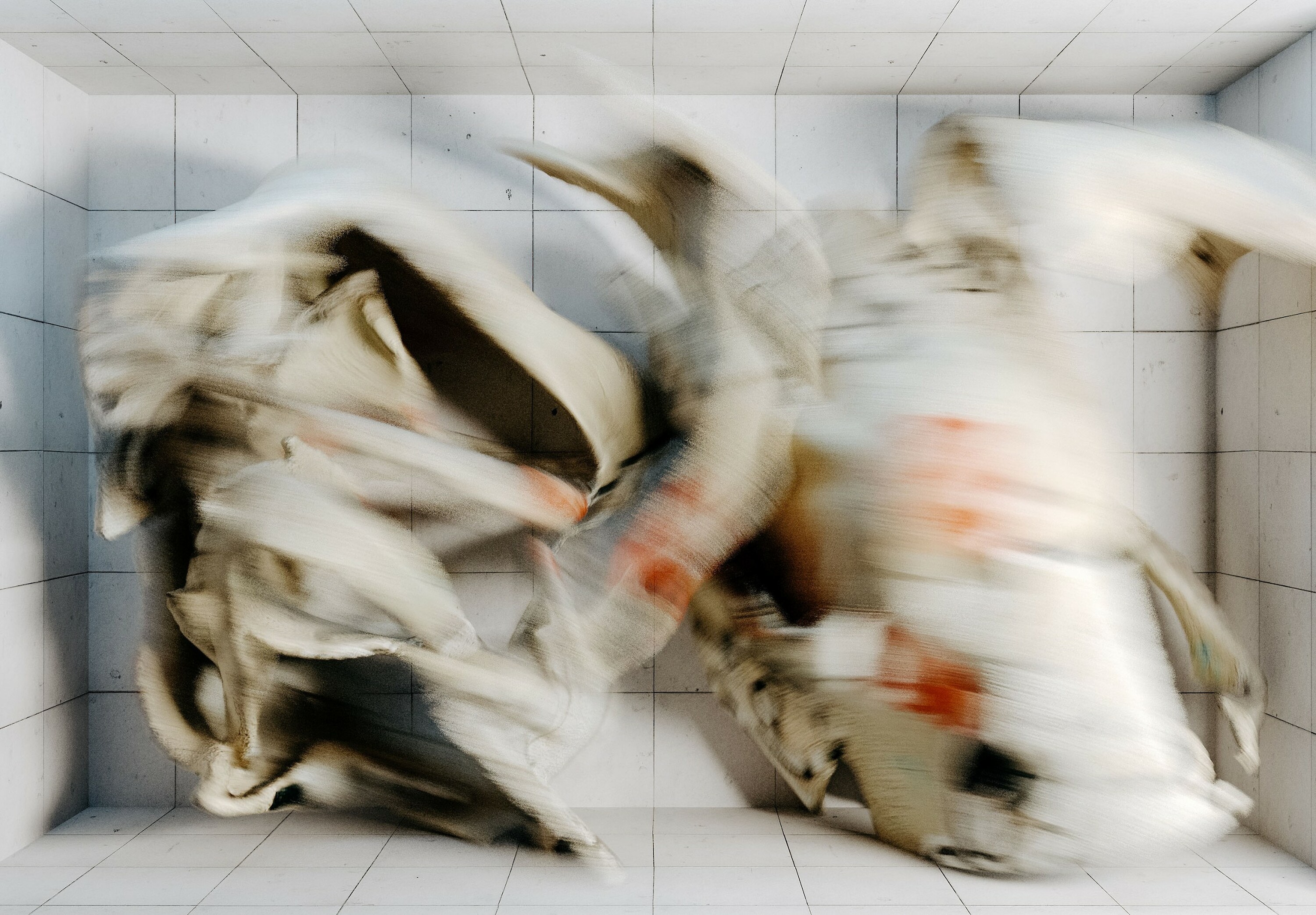 Bildname: thefight_small-kopie-scaled