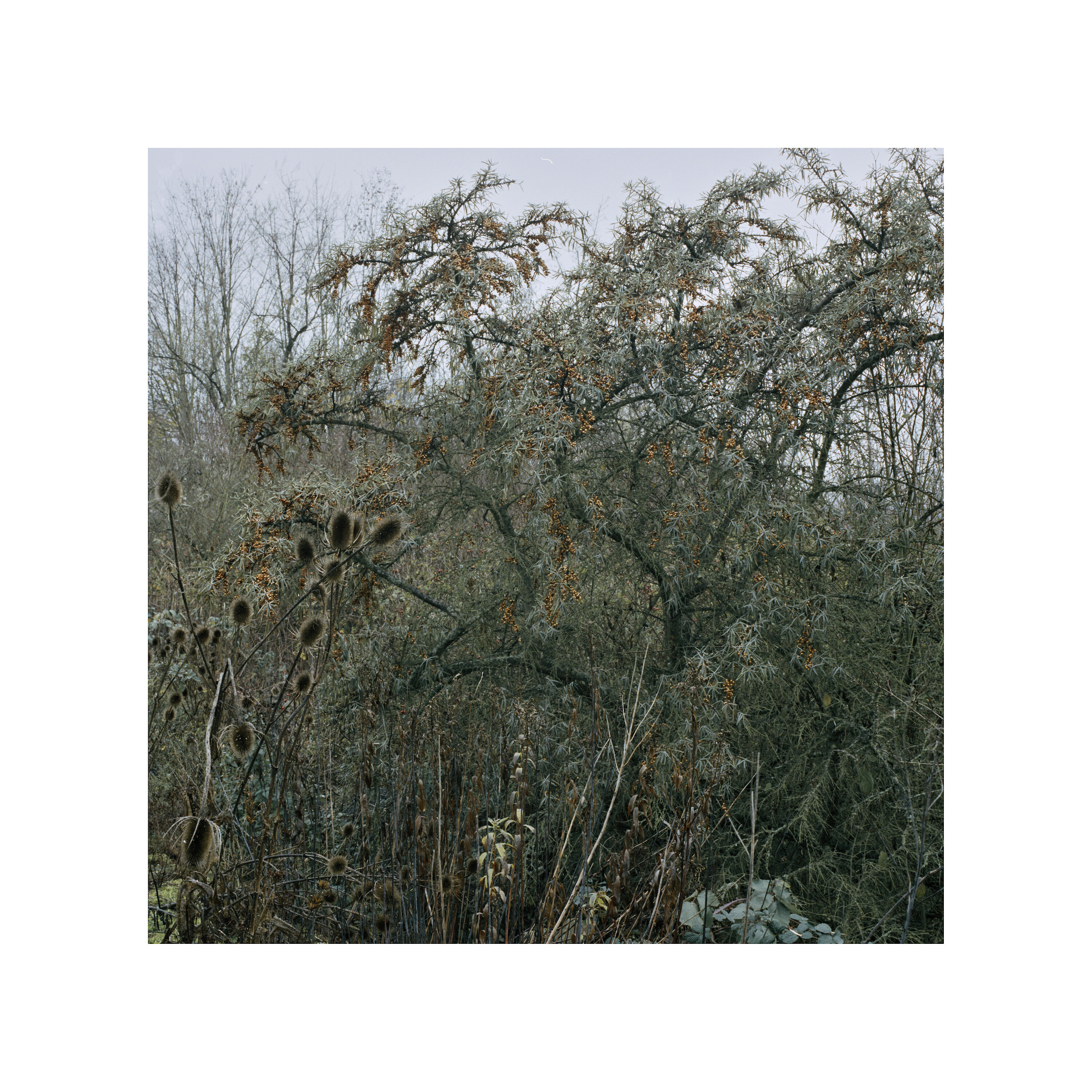 Bildname: rundgang1-1