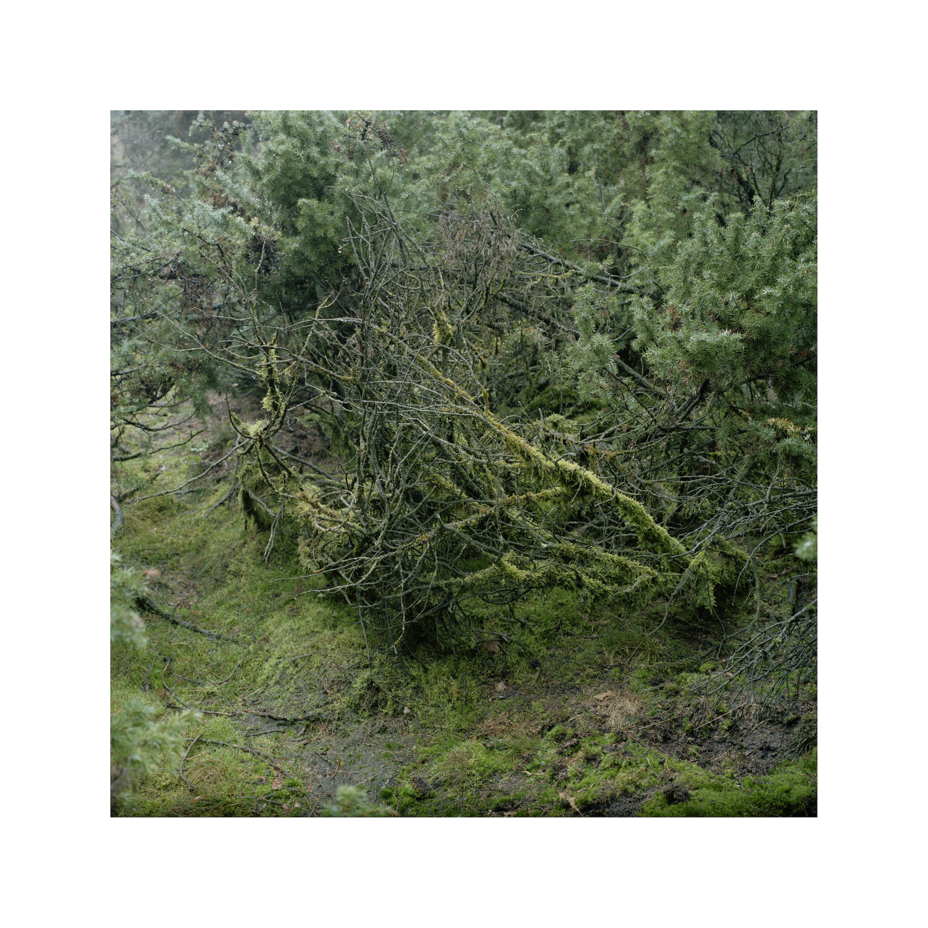 Bildname: rundgang4-1