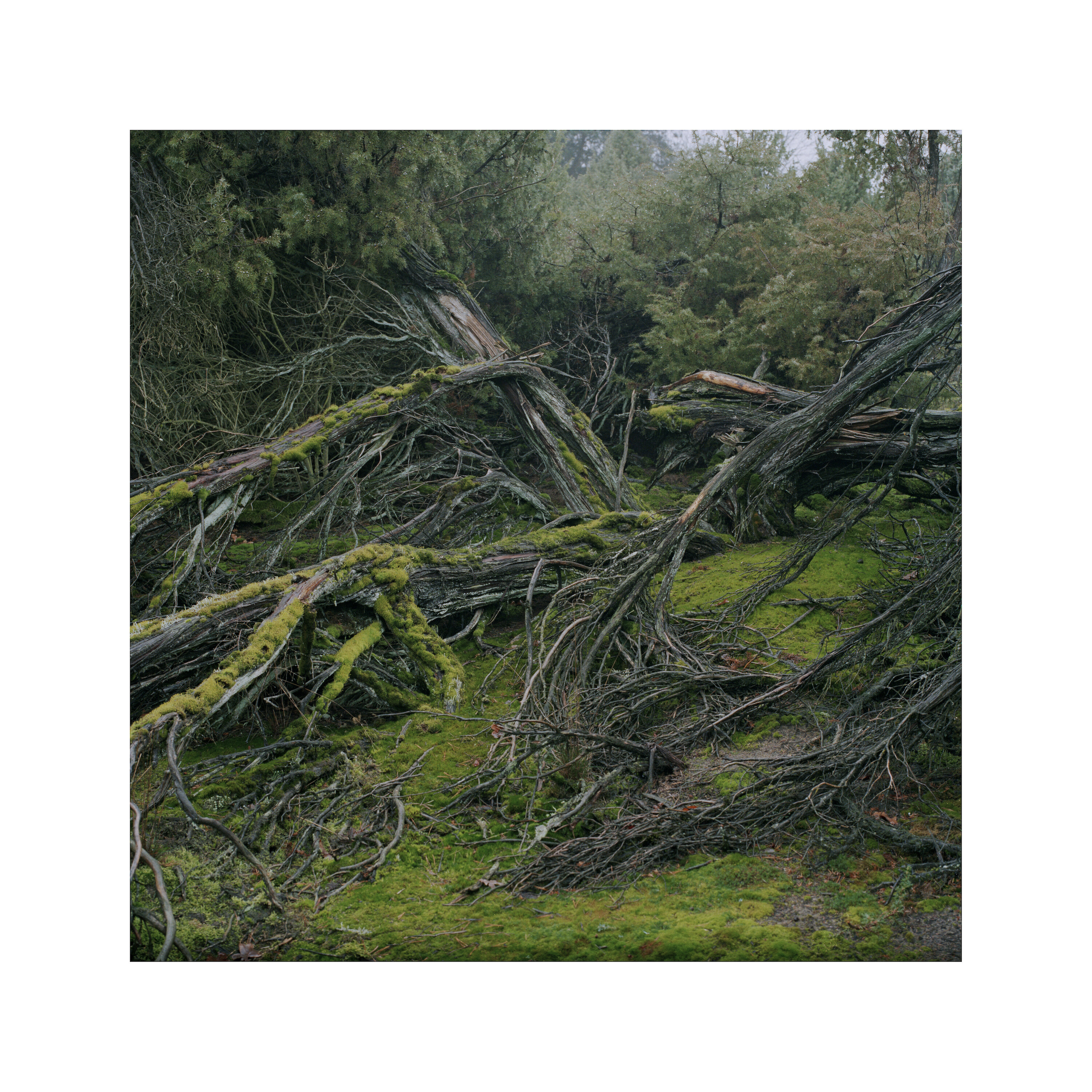 Bildname: rundgang_2-1