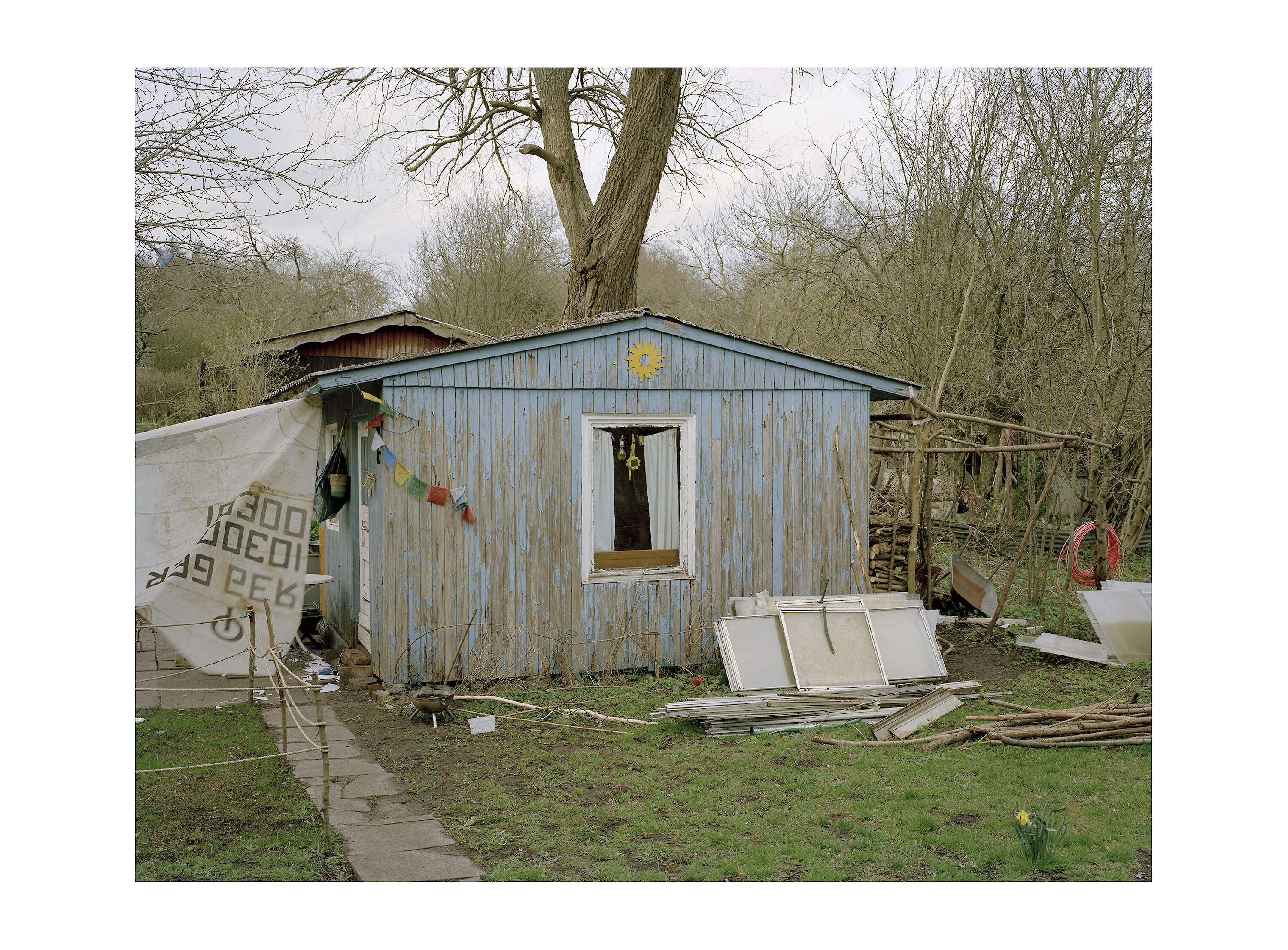 Bildname: garten4_kopie