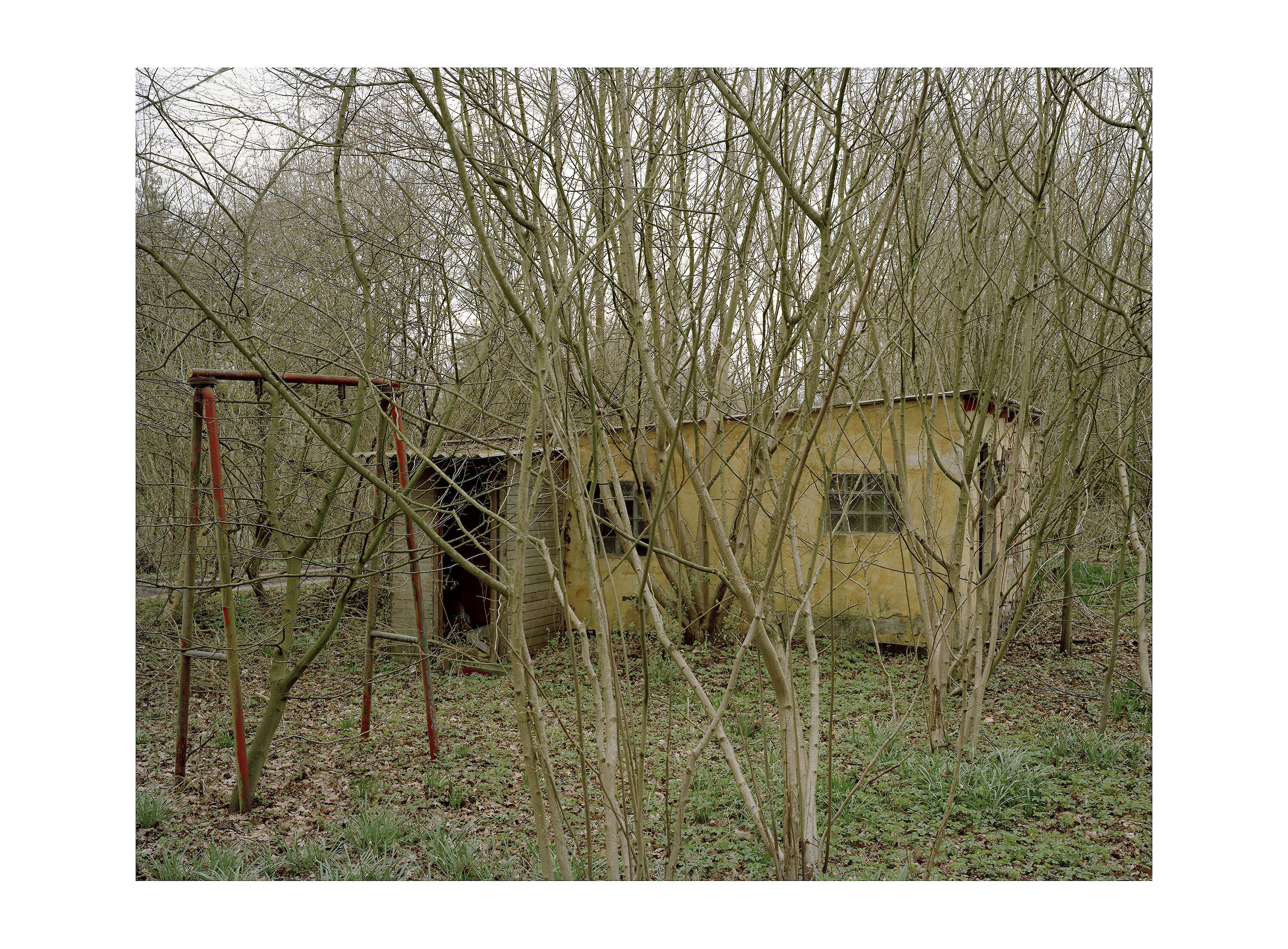 Bildname: garten5_kopie