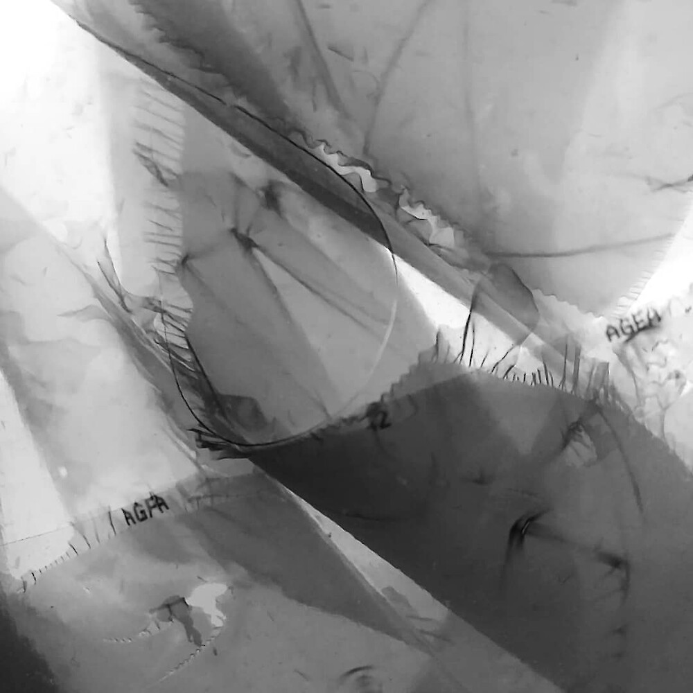 Bildname: img_20210410_104536_823