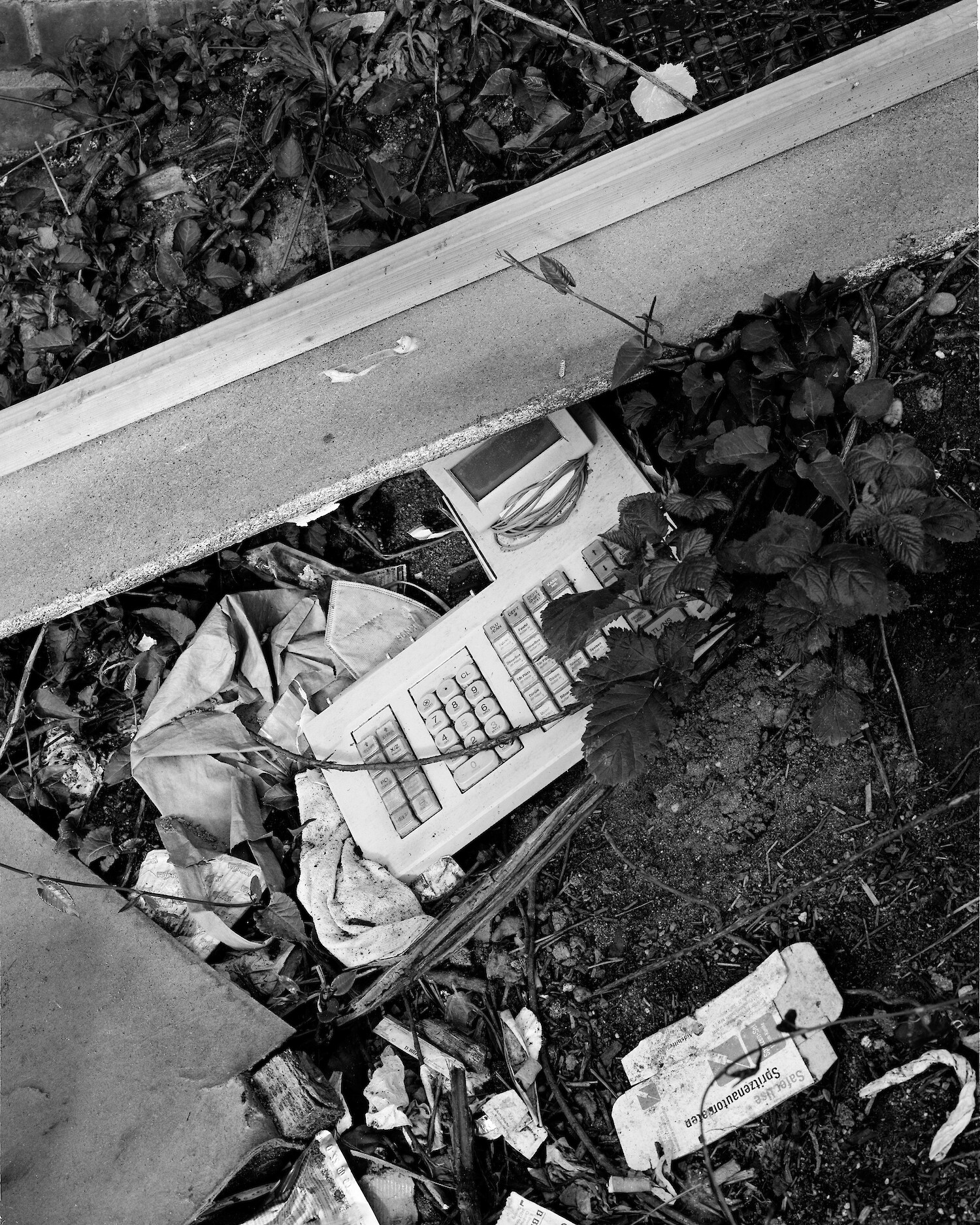 Bildname: 1189b97b-b8c0-4a8a-8d79-7644f64e2792_1_201_a-1