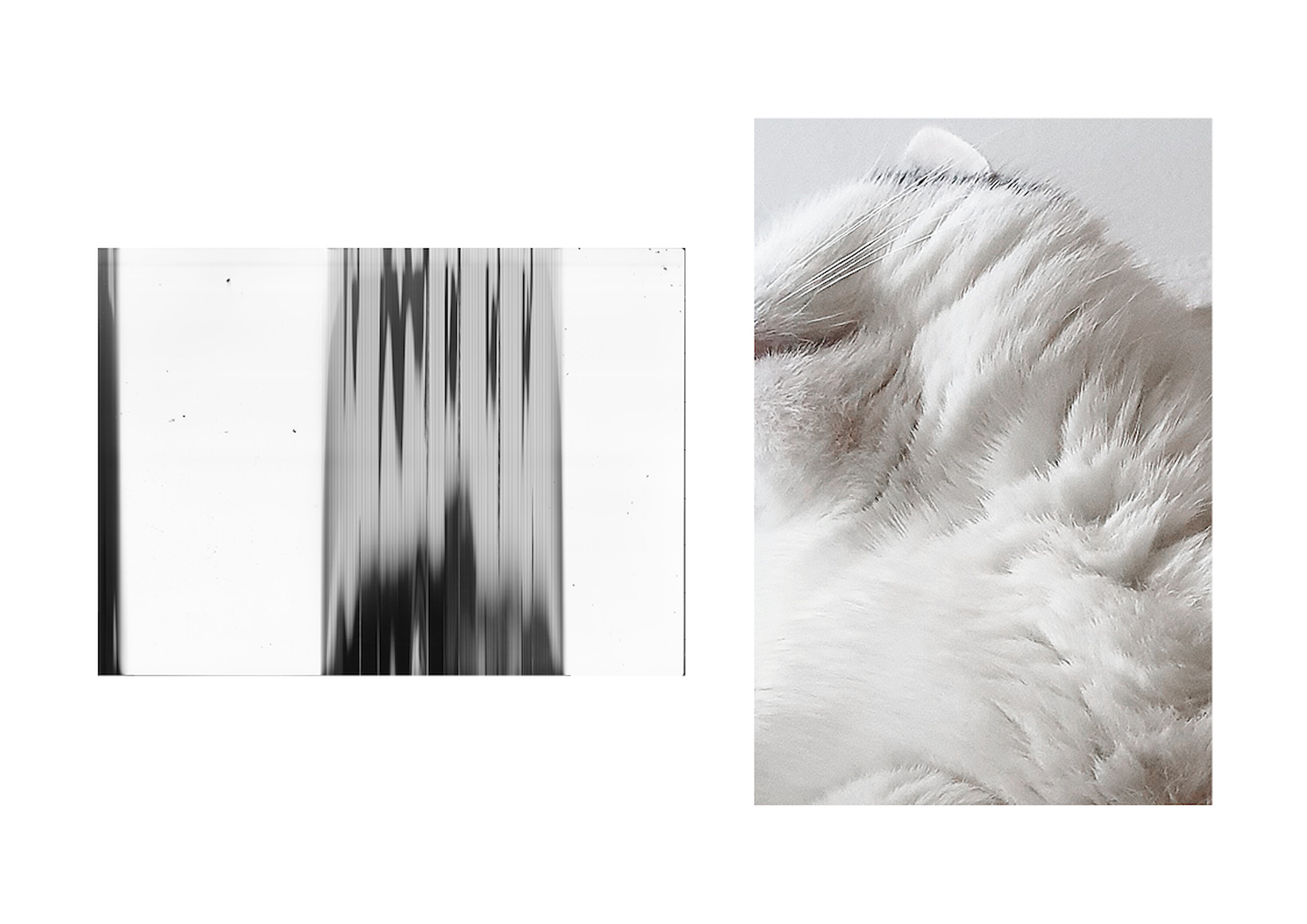 Bildname: darknightofthemind10