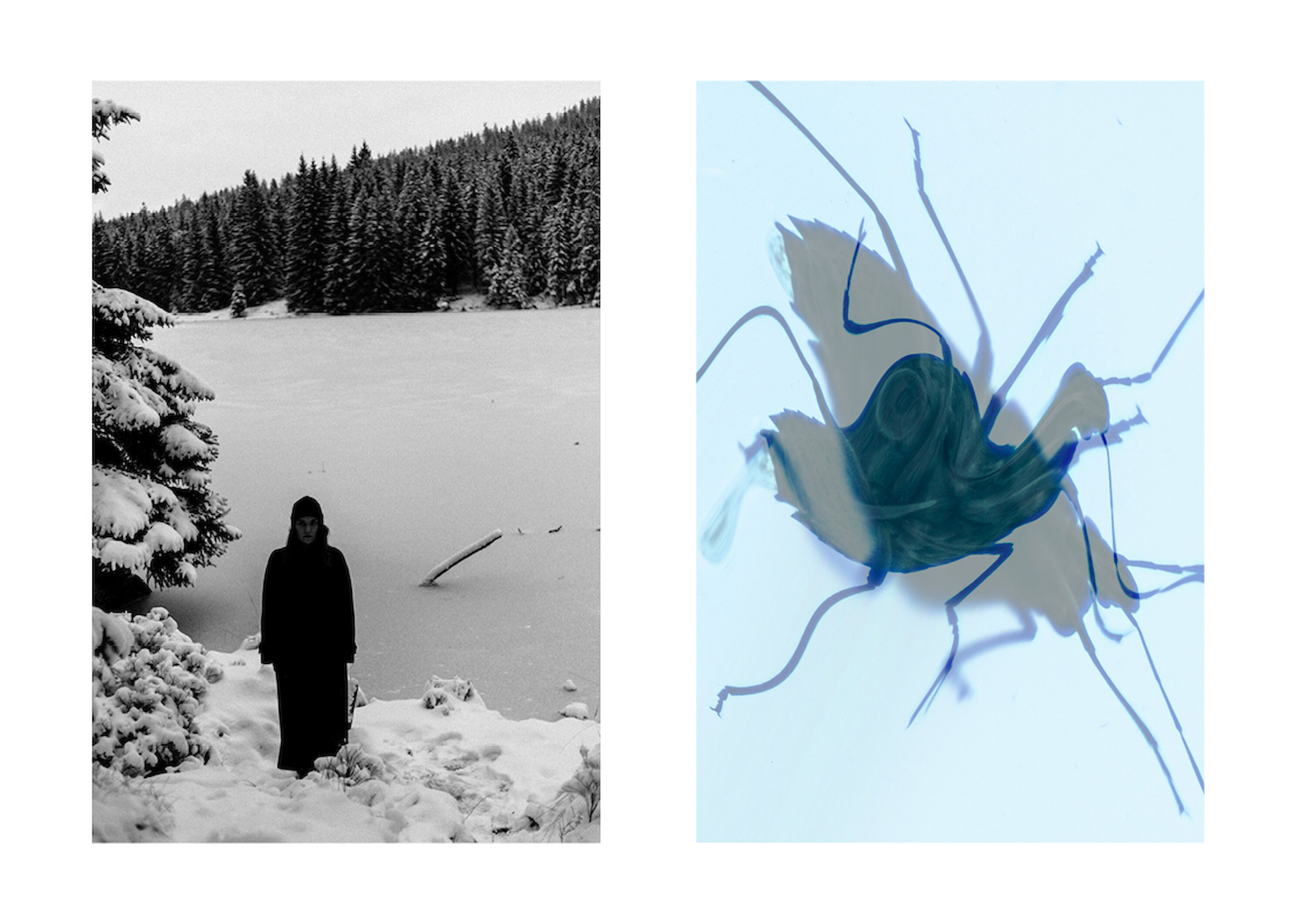 Bildname: darknightofthemind15