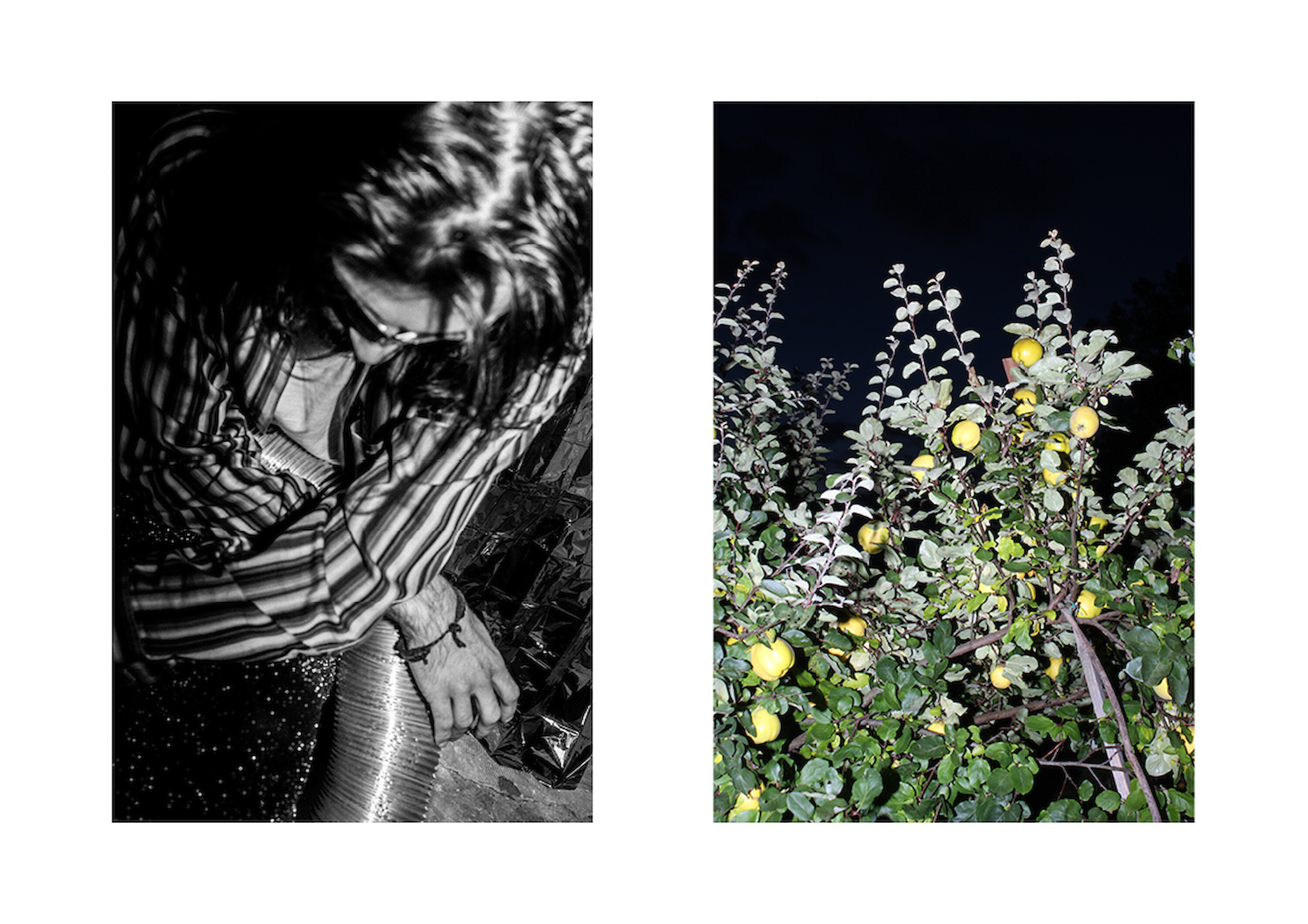 Bildname: darknightofthemind2