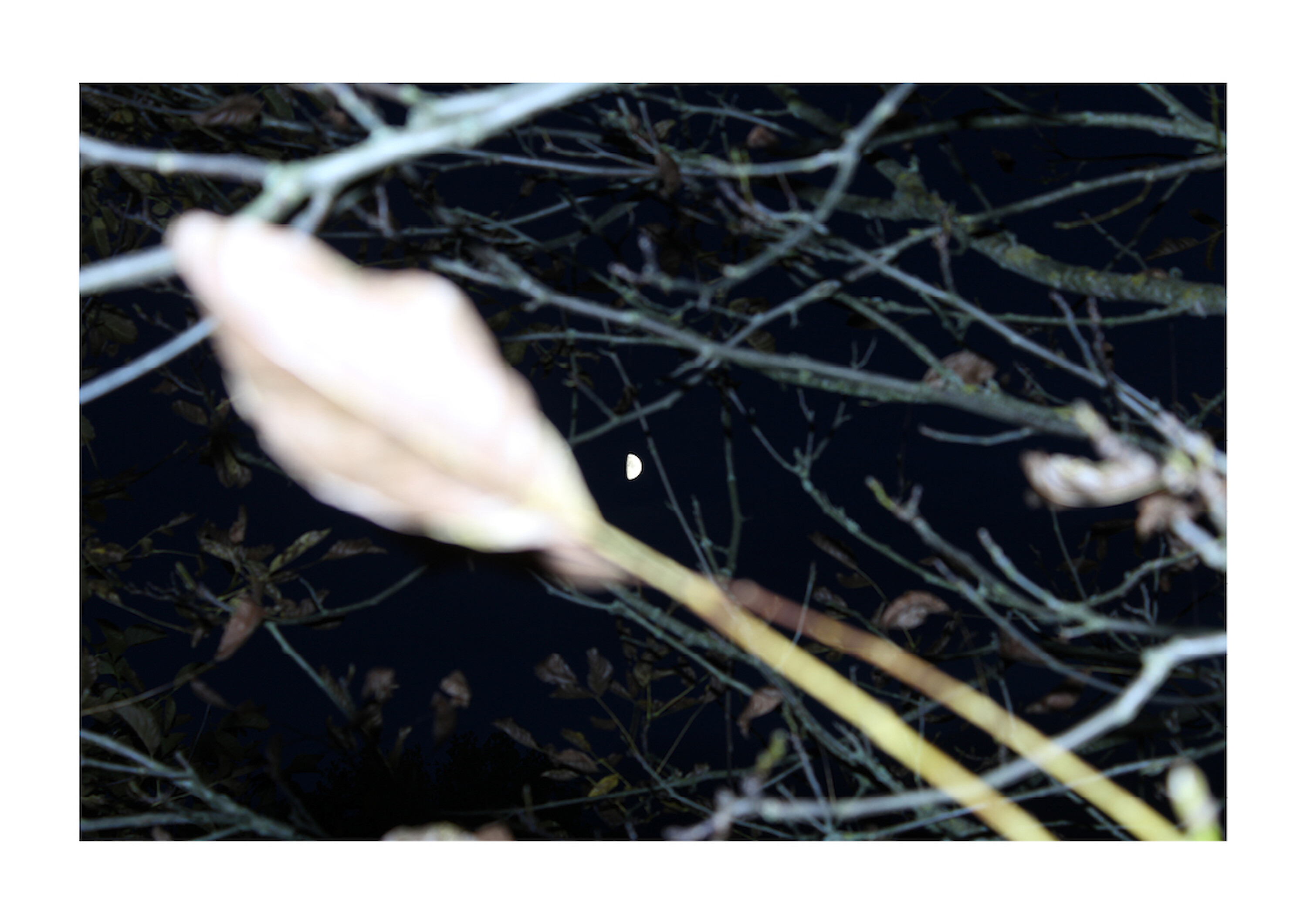 Bildname: darknightofthemind5