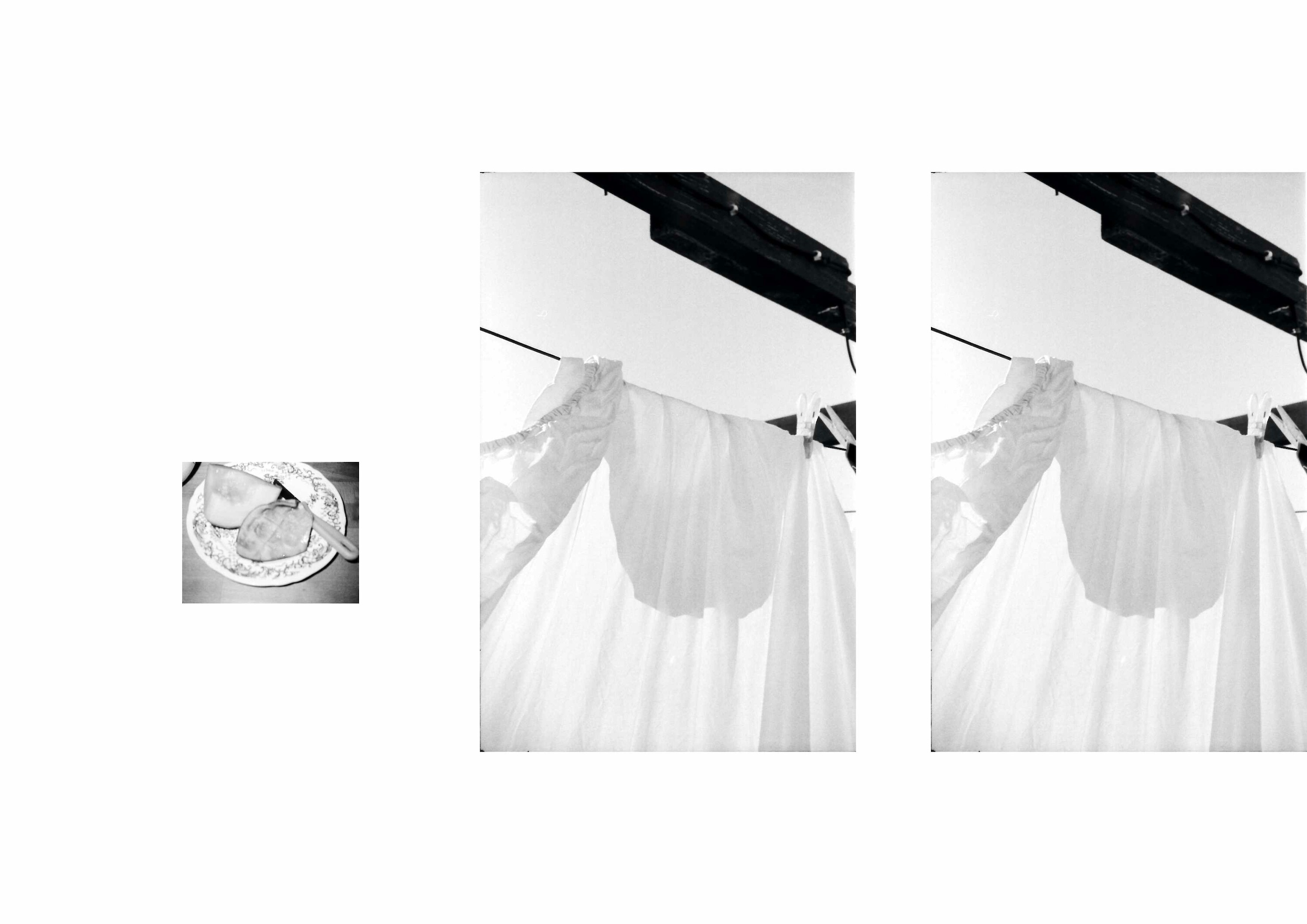 Bildname: augensuche_rundgang_04_10