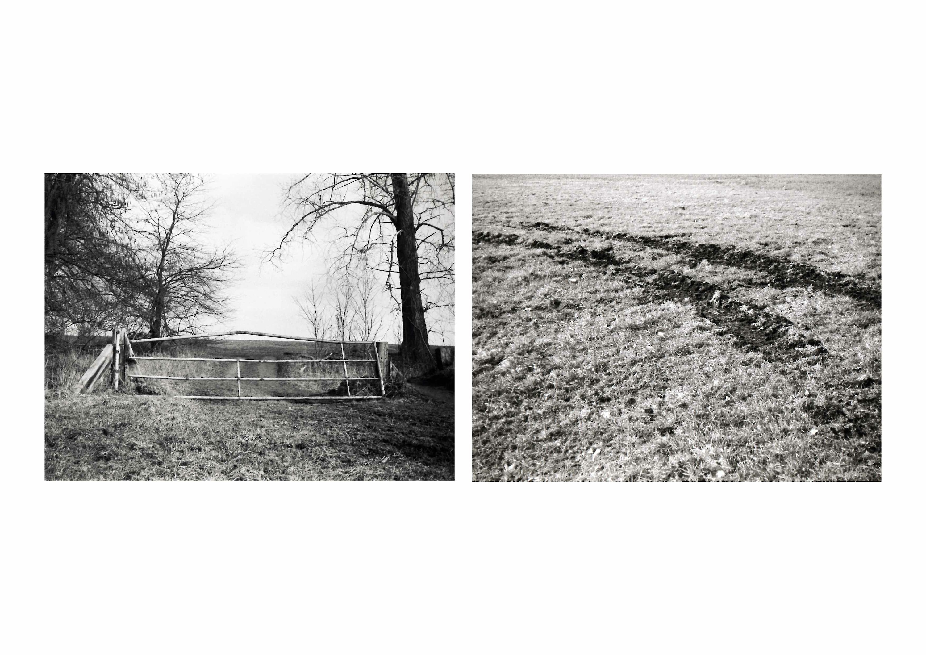 Bildname: augensuche_rundgang_04_19