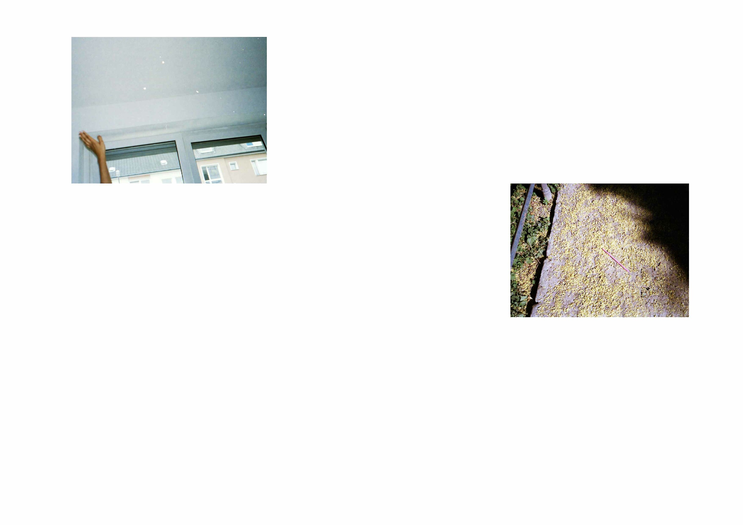 Bildname: augensuche_rundgang_04_24