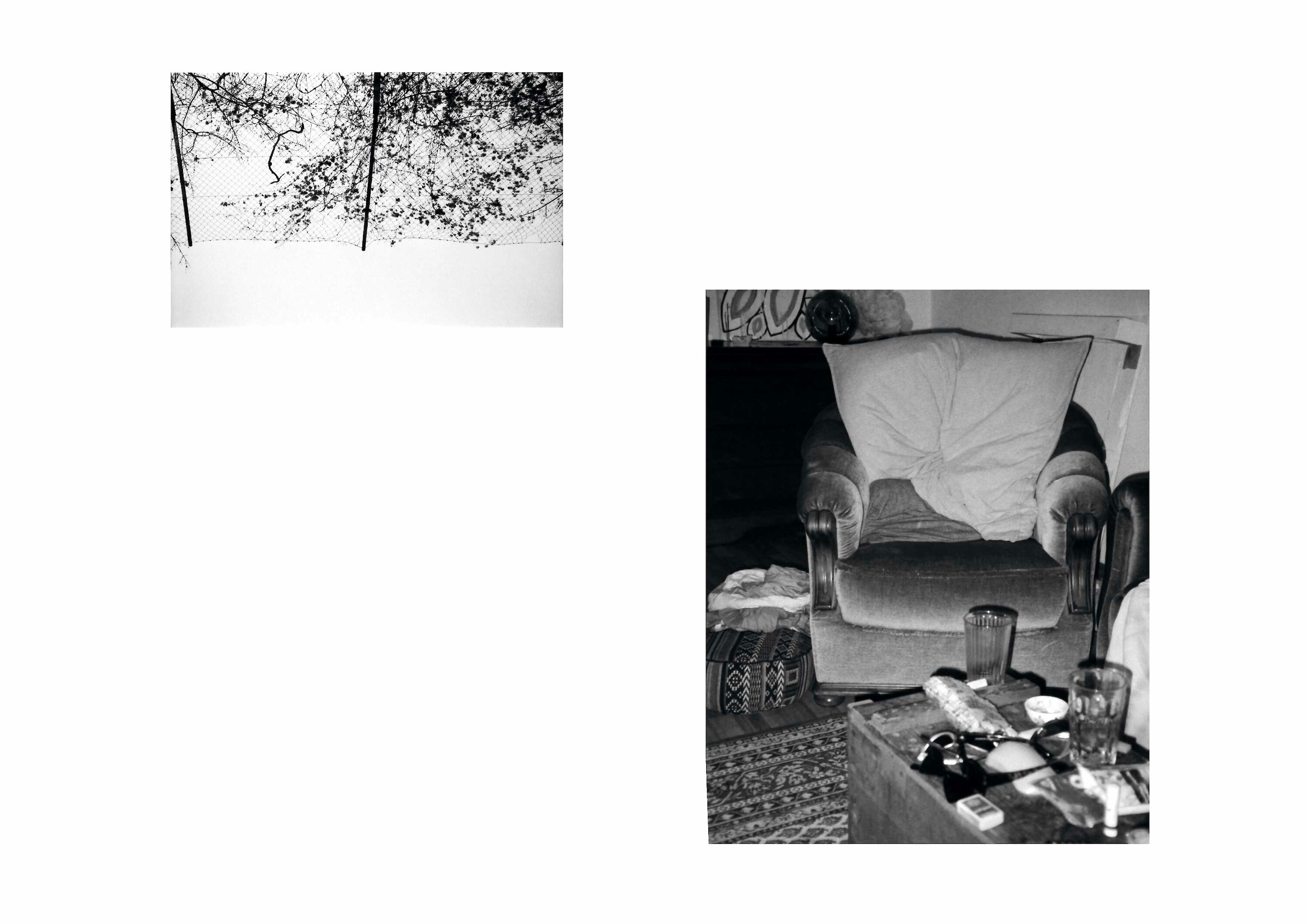 Bildname: augensuche_rundgang_04_4