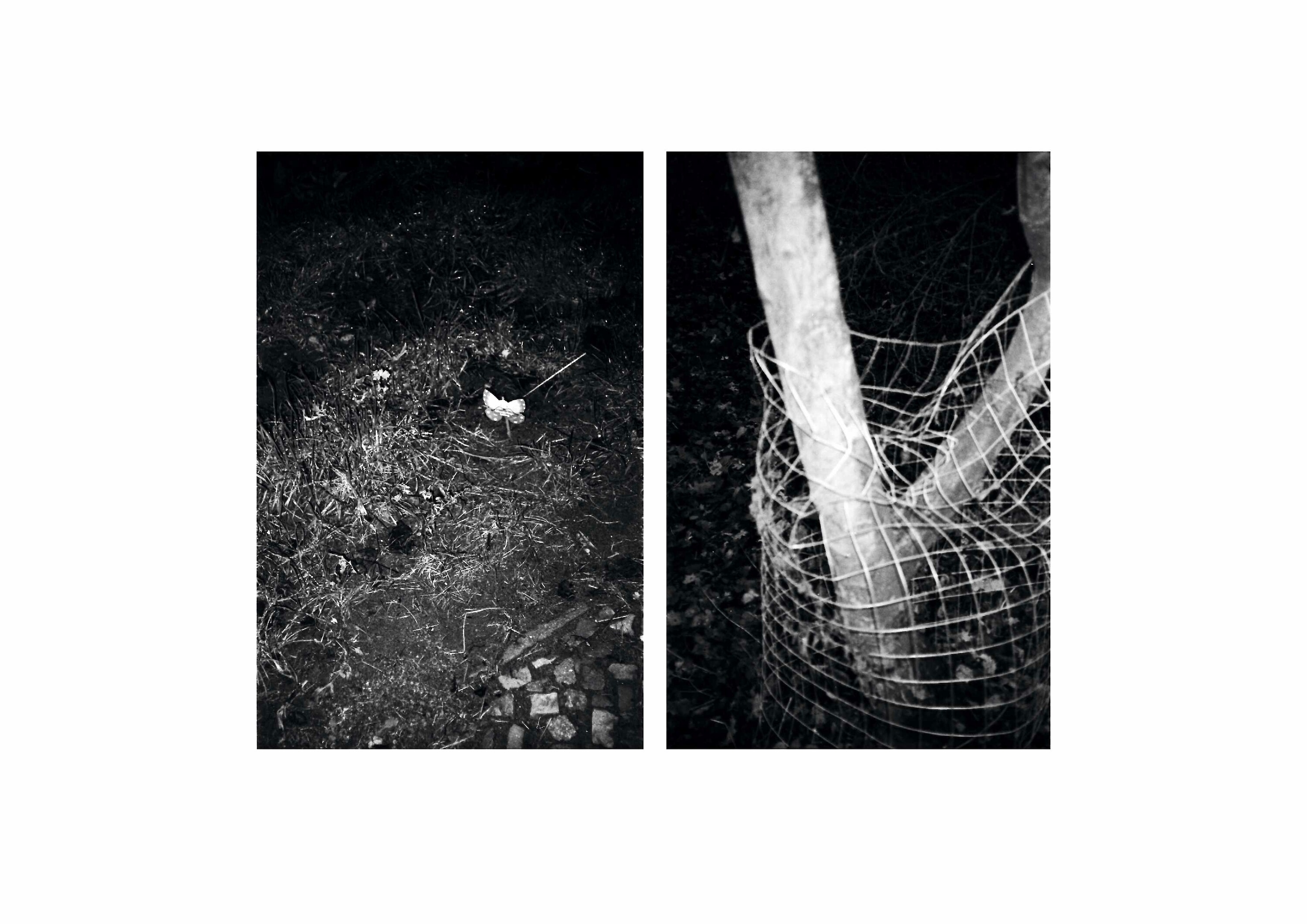 Bildname: augensuche_rundgang_04_5