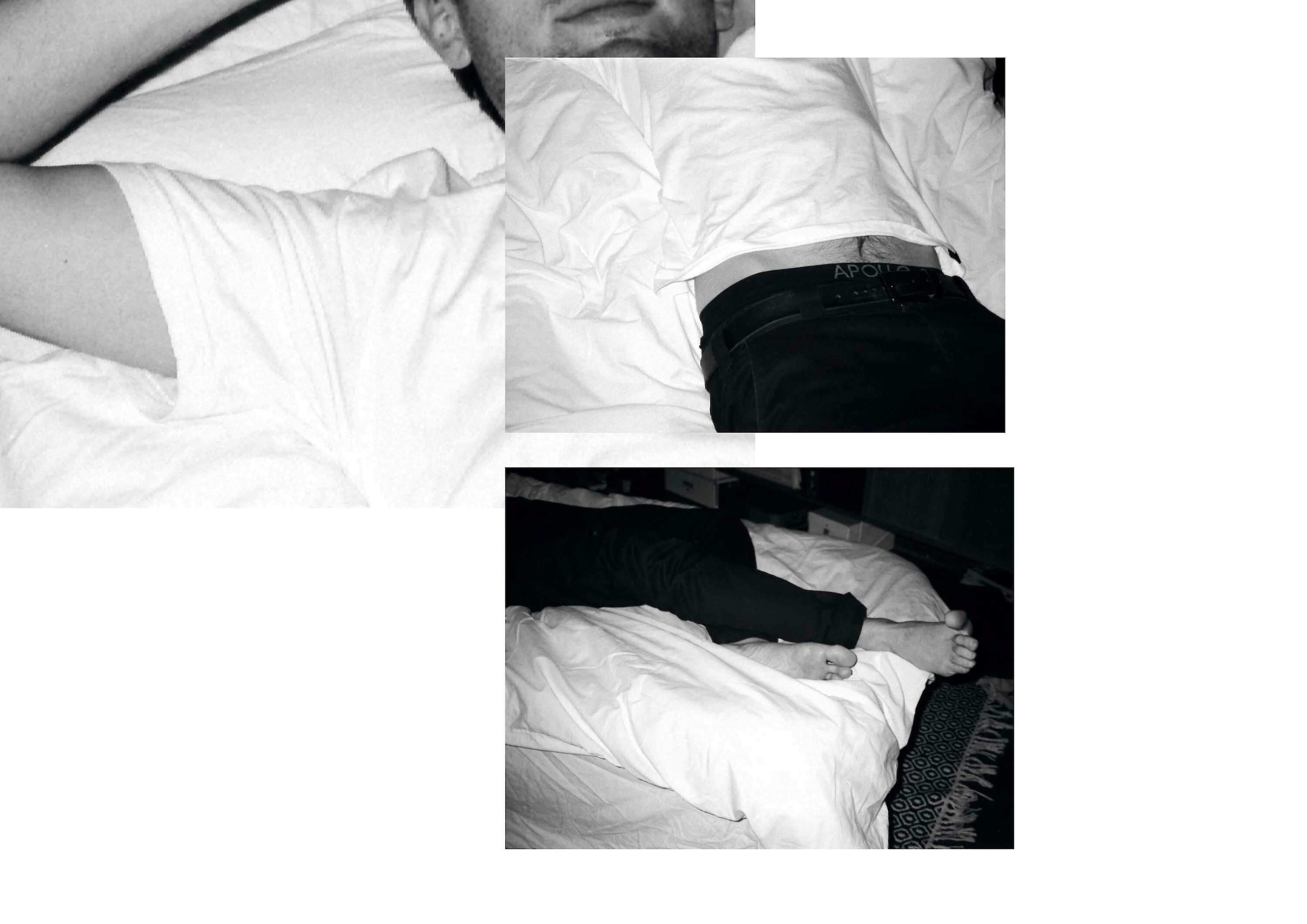 Bildname: augensuche_rundgang_04_6