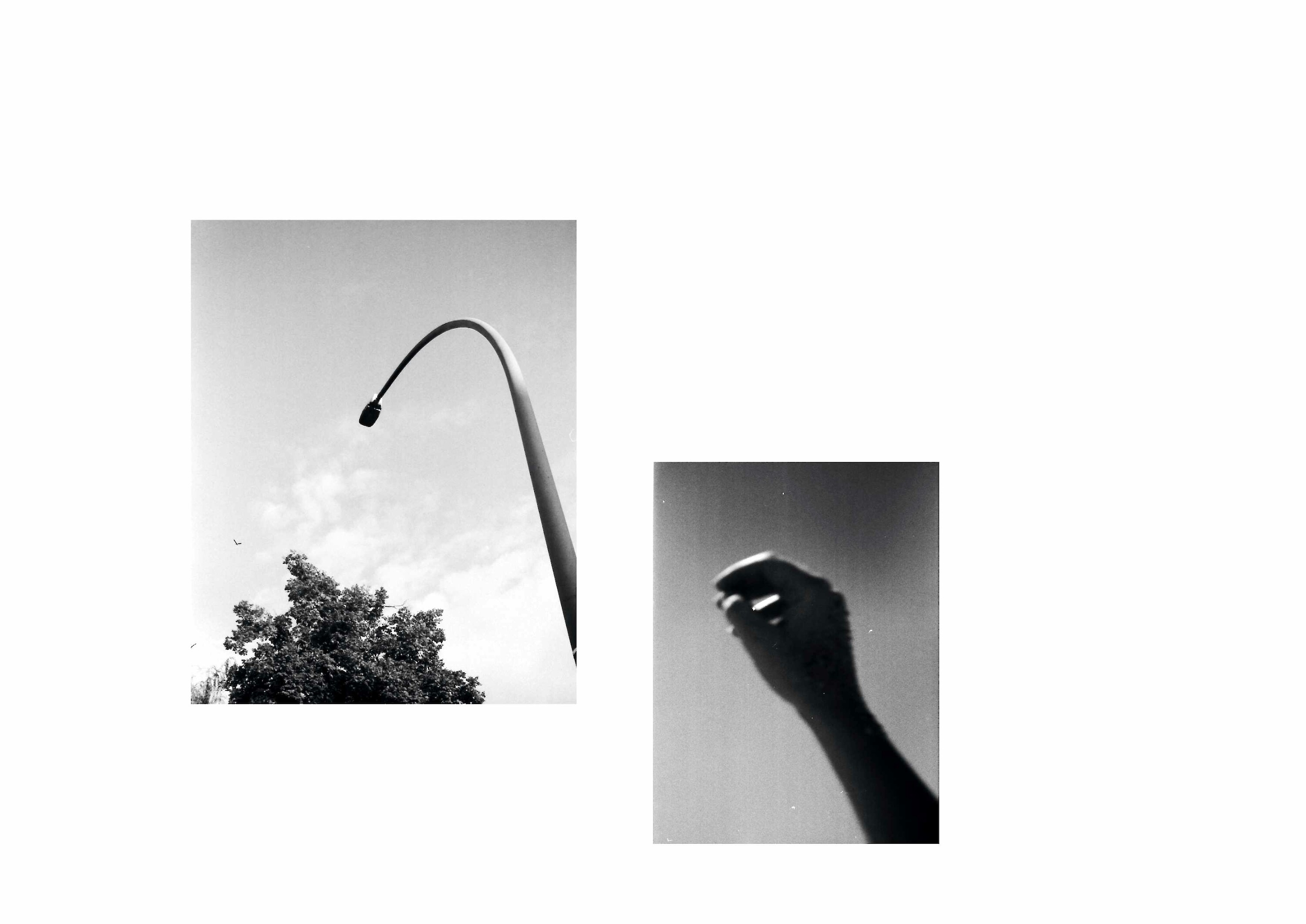 Bildname: augensuche_rundgang_04_8