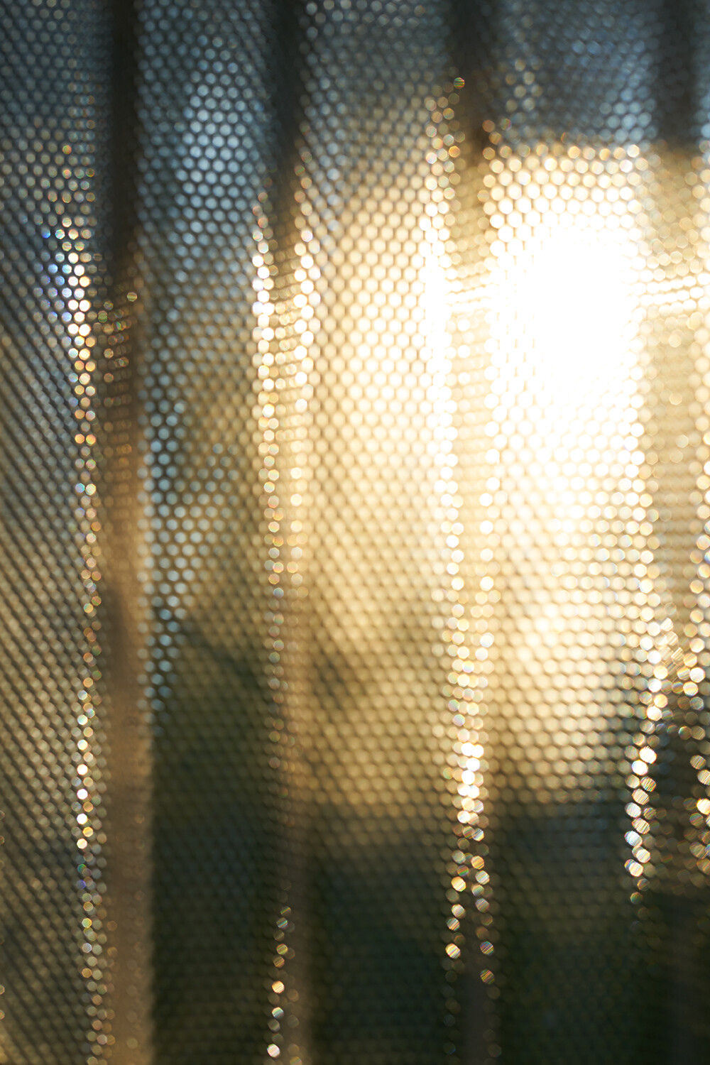 Bildname: anjali_janssens_062021_01