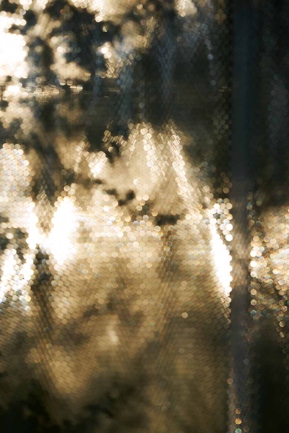 Bildname: anjali_janssens_062021_02