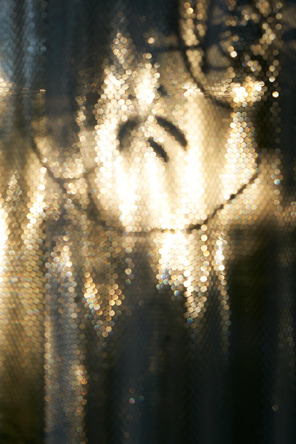 Bildname: anjali_janssens_062021_03