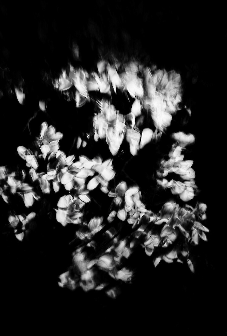 Bildname: anjali_janssens_06-1