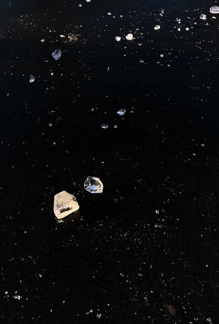 Bildname: anjali_janssens_10